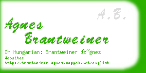 agnes brantweiner business card